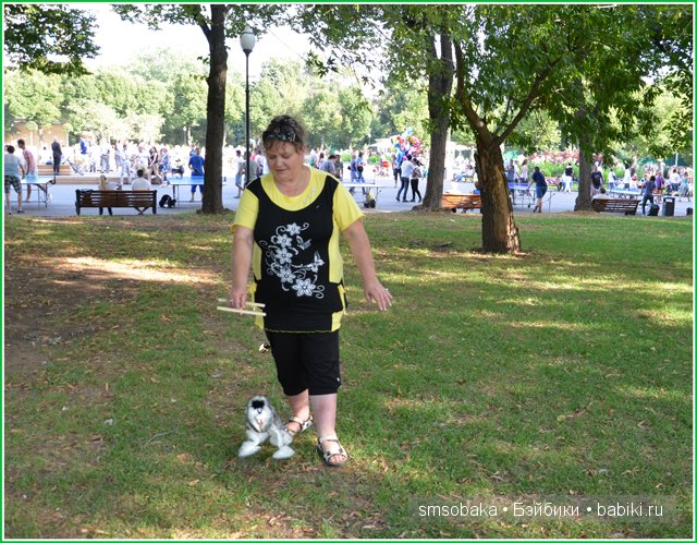 Кукольная встреча Бейбиков в Москве, 2013