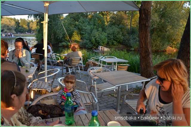 Кукольная встреча Бейбиков в Москве, 2013