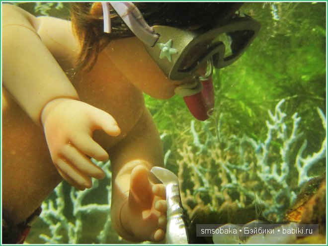 Подводное плавание. (Kidz ‘n’ Cats, Sonja Hartmann)