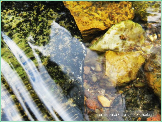 Подводное плавание. (Kidz ‘n’ Cats, Sonja Hartmann)