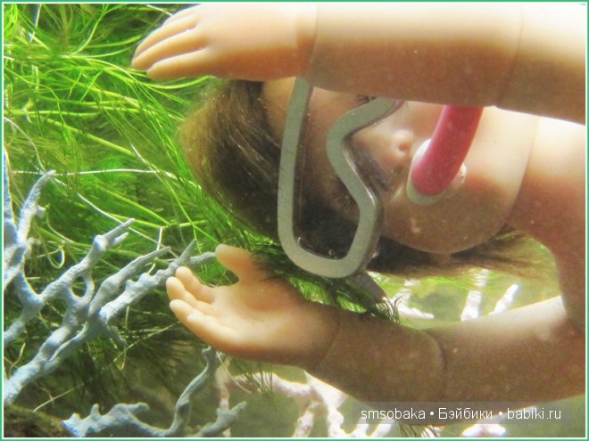 Подводное плавание. (Kidz ‘n’ Cats, Sonja Hartmann)