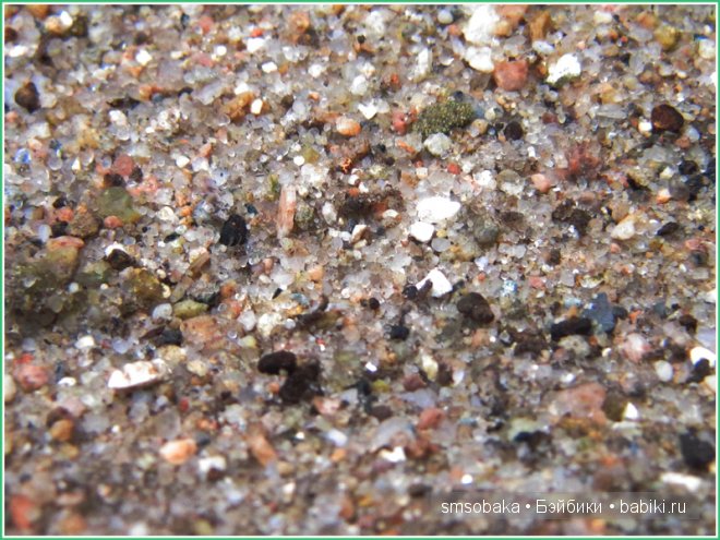 Подводное плавание. (Kidz ‘n’ Cats, Sonja Hartmann)