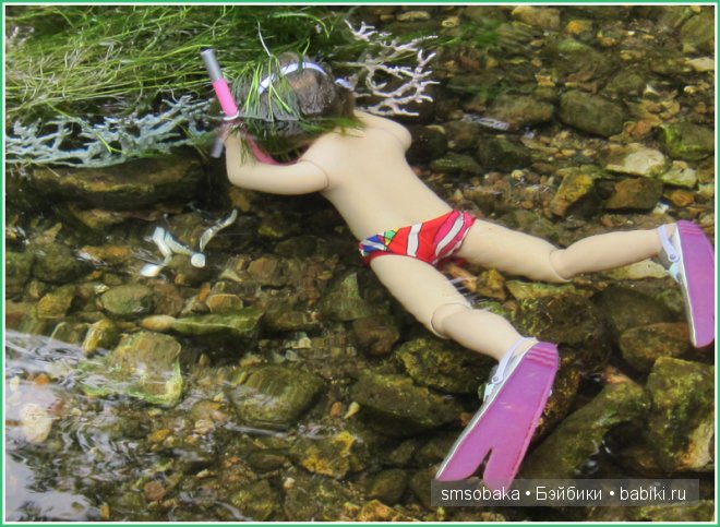 Подводное плавание. (Kidz ‘n’ Cats, Sonja Hartmann)