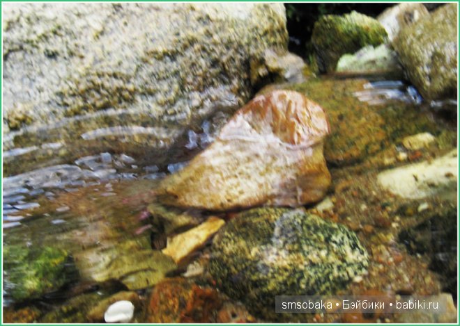 Подводное плавание. (Kidz ‘n’ Cats, Sonja Hartmann)