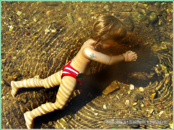 Подводное плавание. (Kidz ‘n’ Cats, Sonja Hartmann)