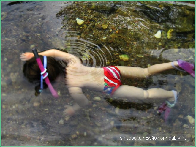 Подводное плавание. (Kidz ‘n’ Cats, Sonja Hartmann)