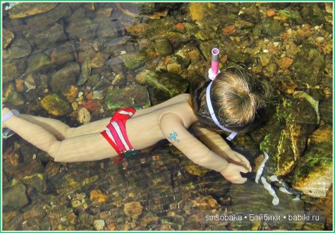 Подводное плавание. (Kidz ‘n’ Cats, Sonja Hartmann)