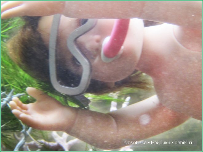 Подводное плавание. (Kidz ‘n’ Cats, Sonja Hartmann)