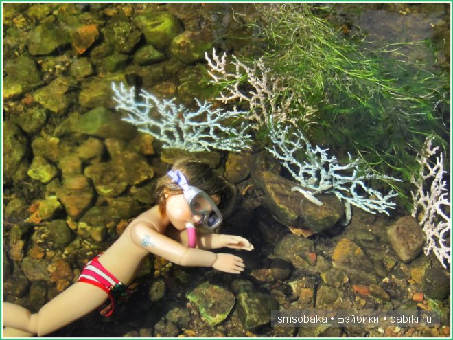 Подводное плавание. (Kidz ‘n’ Cats, Sonja Hartmann)