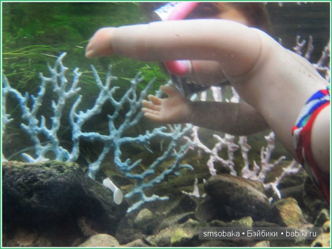 Подводное плавание. (Kidz ‘n’ Cats, Sonja Hartmann)