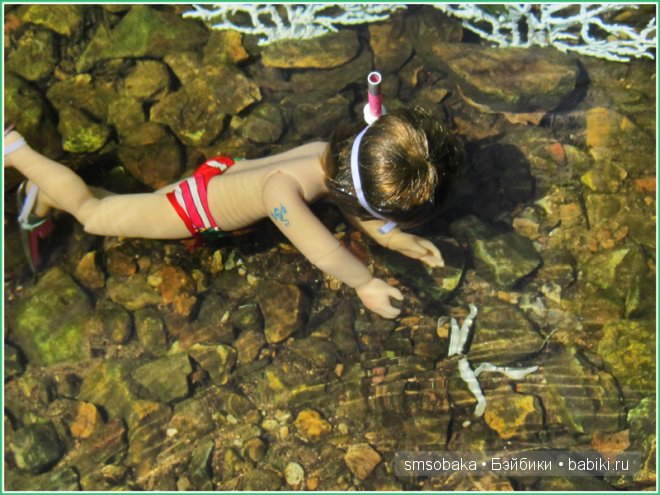 Подводное плавание. (Kidz ‘n’ Cats, Sonja Hartmann)