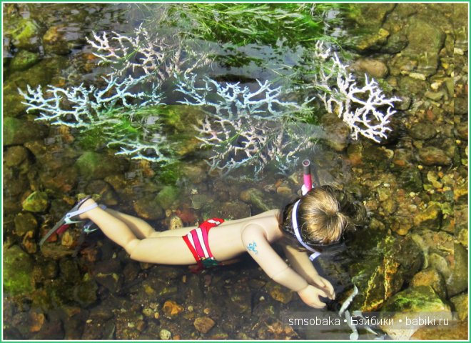 Подводное плавание. (Kidz ‘n’ Cats, Sonja Hartmann)