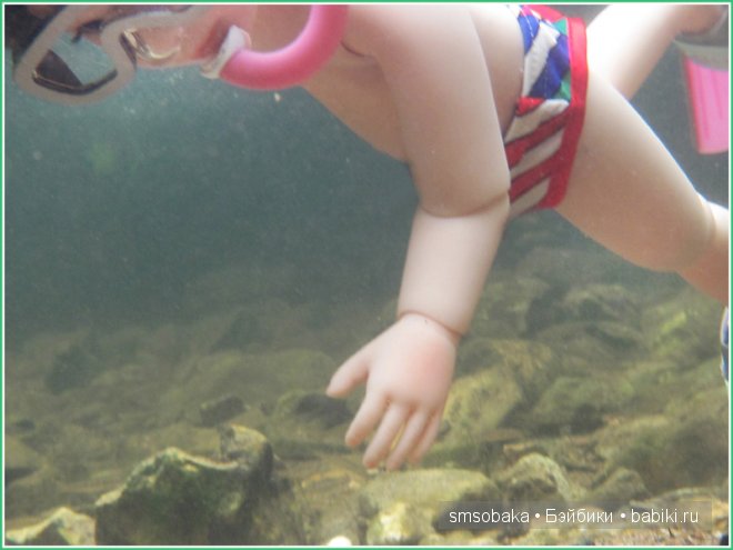 Подводное плавание. (Kidz ‘n’ Cats, Sonja Hartmann)