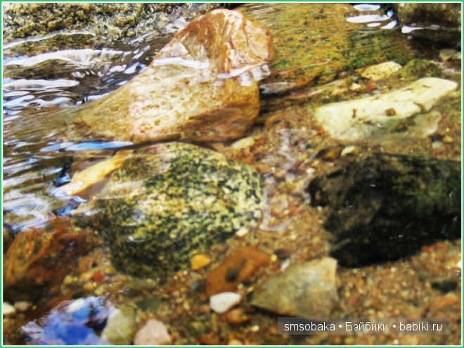 Подводное плавание. (Kidz ‘n’ Cats, Sonja Hartmann)