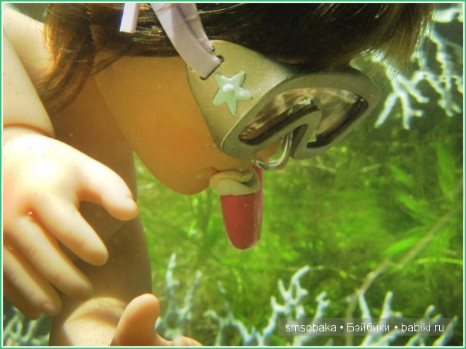 Подводное плавание. (Kidz ‘n’ Cats, Sonja Hartmann)