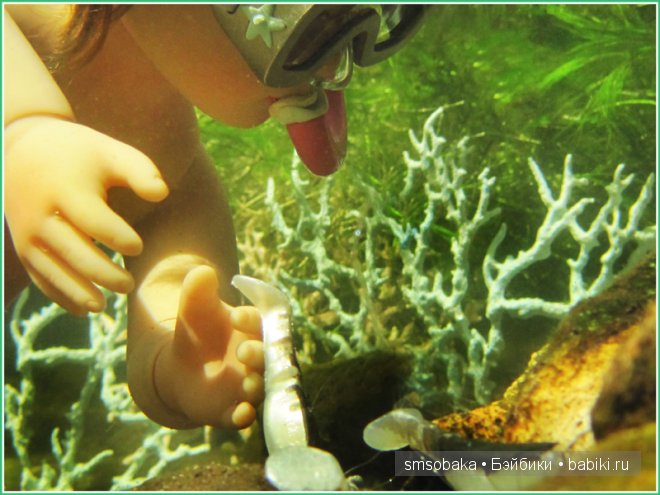 Подводное плавание. (Kidz ‘n’ Cats, Sonja Hartmann)