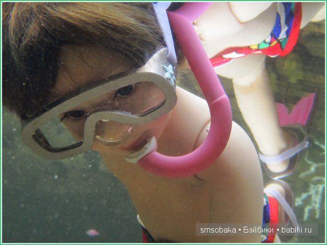 Подводное плавание. (Kidz ‘n’ Cats, Sonja Hartmann)