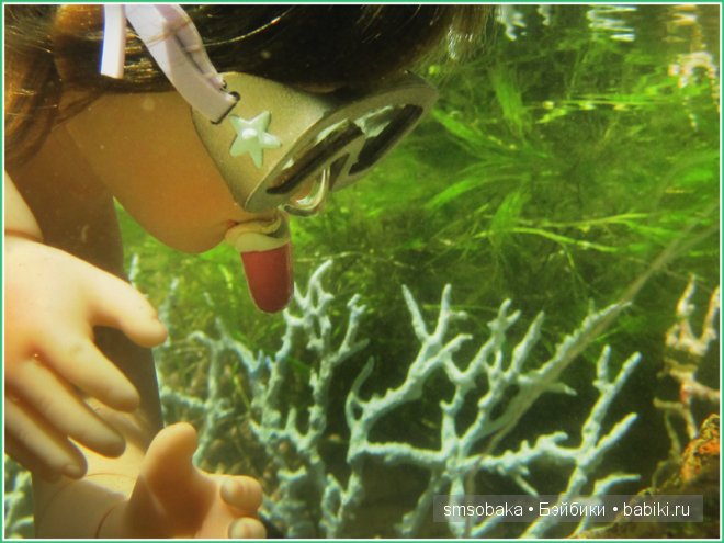 Подводное плавание. (Kidz ‘n’ Cats, Sonja Hartmann)