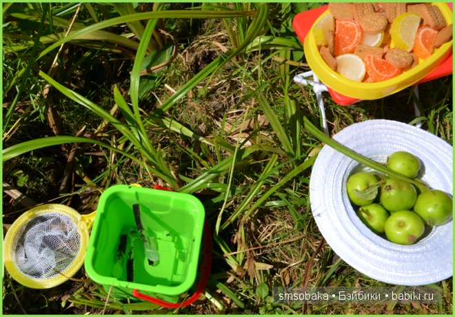 Турлагерь. Kidz ‘n’ Cats, Sonja Hartmann