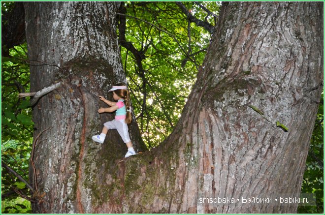 Турлагерь. Kidz ‘n’ Cats, Sonja Hartmann
