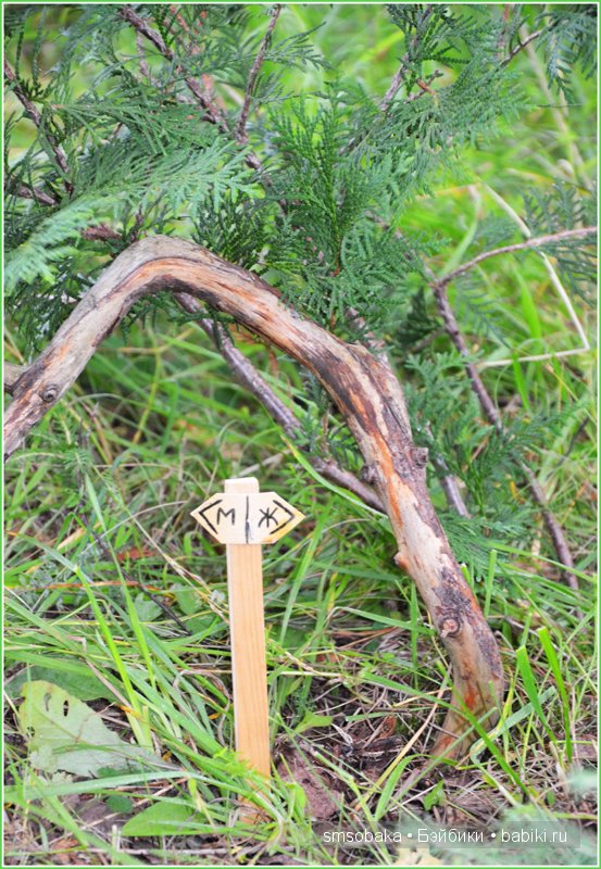 Турлагерь. Kidz ‘n’ Cats, Sonja Hartmann