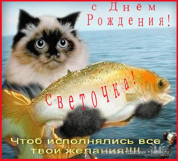 С Днём Рождения! Светочка