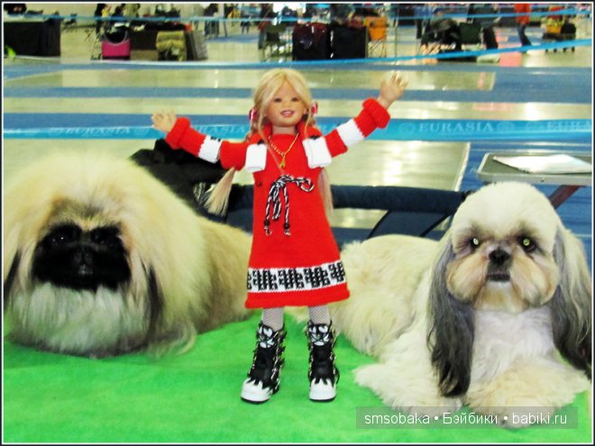 Лилечка Annette Himstedt на выставке собак "Евразия 2014"