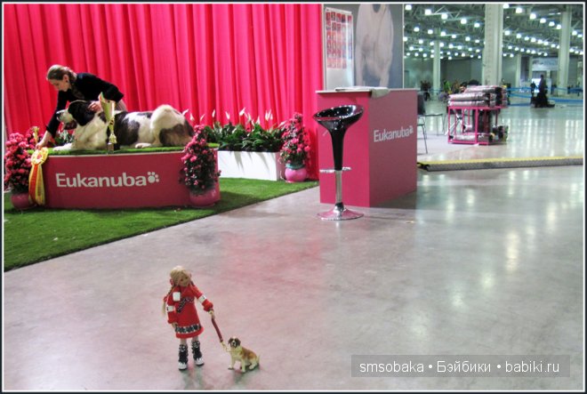 Лилечка Annette Himstedt на выставке собак "Евразия 2014"