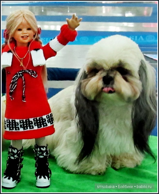 Лилечка Annette Himstedt на выставке собак "Евразия 2014"