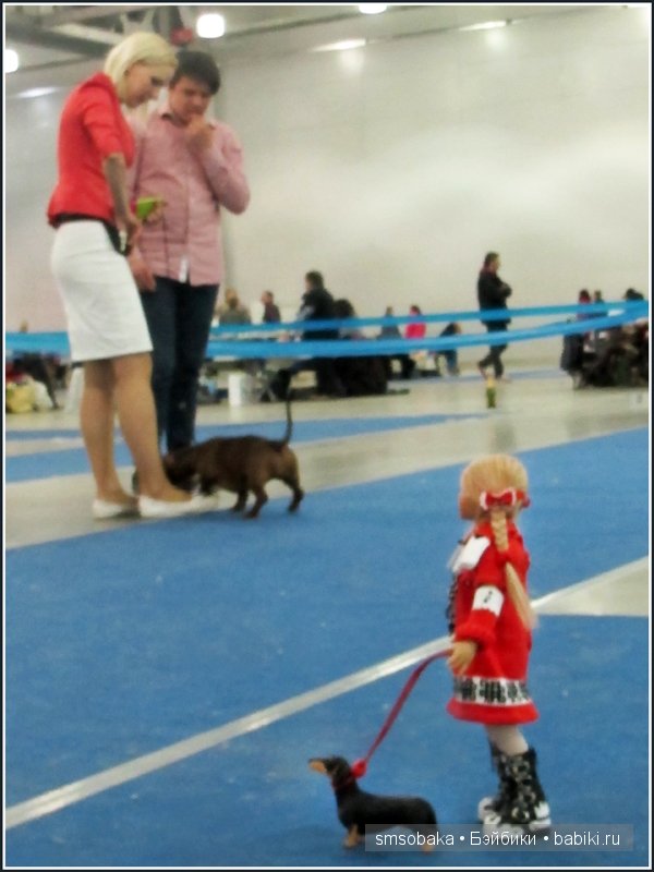 Лилечка Annette Himstedt на выставке собак "Евразия 2014"