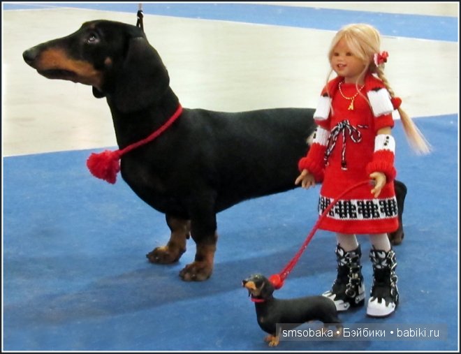 Лилечка Annette Himstedt на выставке собак "Евразия 2014"