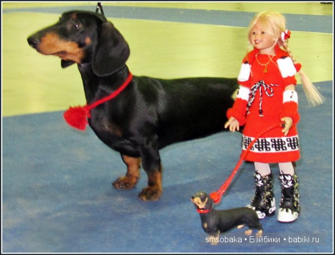 Лилечка Annette Himstedt на выставке собак "Евразия 2014"