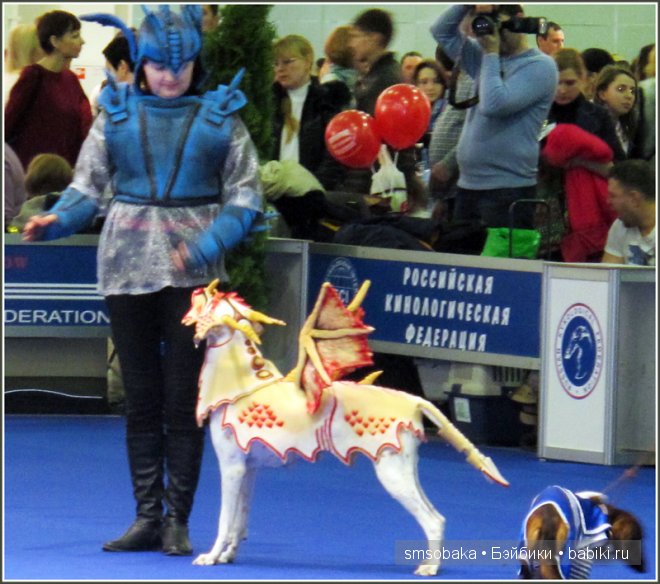 Лилечка Annette Himstedt на выставке собак "Евразия 2014" (фото 6)