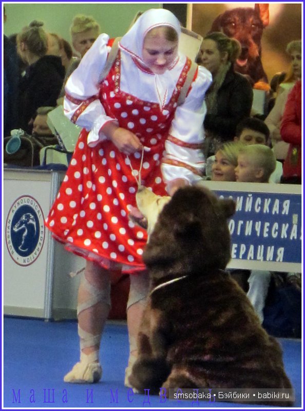 Лилечка Annette Himstedt на выставке собак "Евразия 2014" (фото 10)