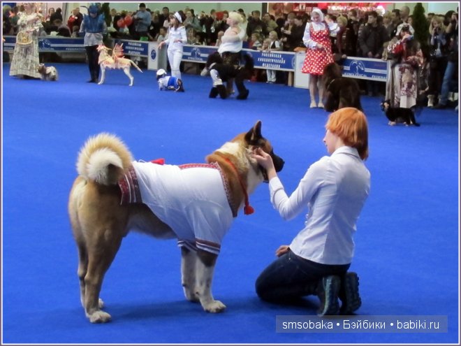 Лилечка Annette Himstedt на выставке собак "Евразия 2014"
