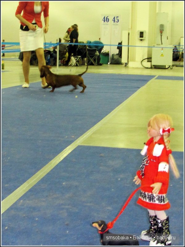 Лилечка Annette Himstedt на выставке собак "Евразия 2014"