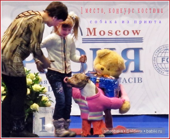 Лилечка Annette Himstedt на выставке собак "Евразия 2014" (фото 5)