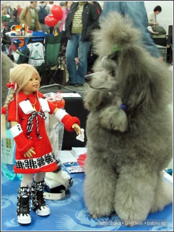 Лилечка Annette Himstedt на выставке собак "Евразия 2014"