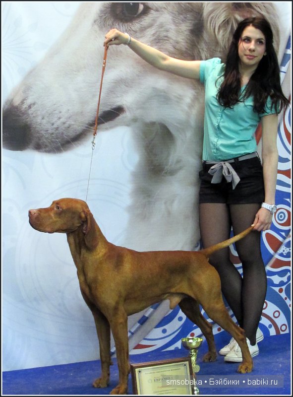 Лилечка Annette Himstedt на выставке собак "Евразия 2014"