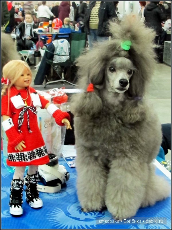 Лилечка Annette Himstedt на выставке собак "Евразия 2014"
