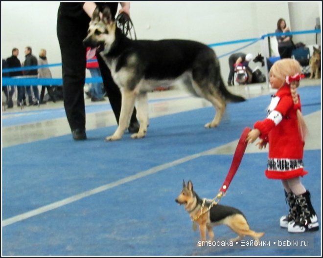 Лилечка Annette Himstedt на выставке собак "Евразия 2014"