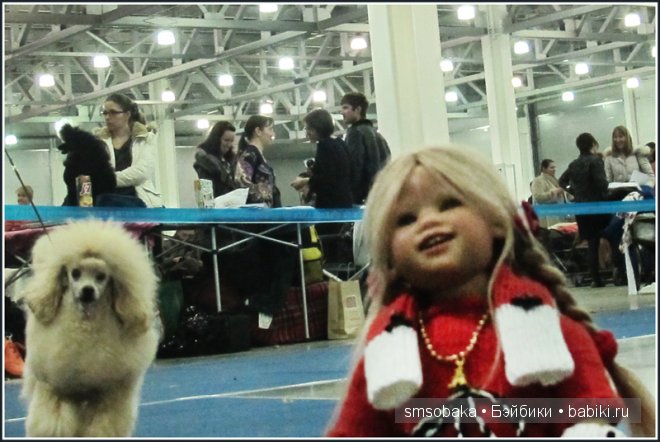 Лилечка Annette Himstedt на выставке собак "Евразия 2014"