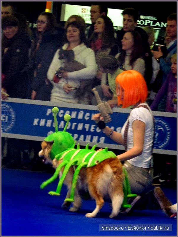 Лилечка Annette Himstedt на выставке собак "Евразия 2014" (фото 9)