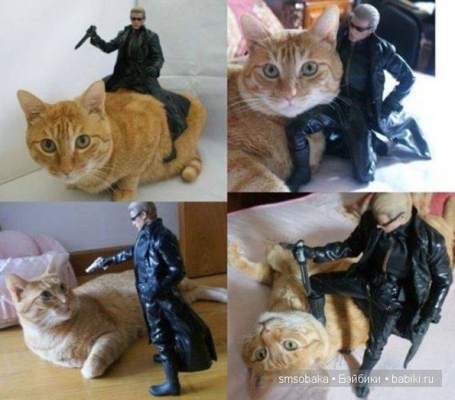 Смешинки с участием игрушек