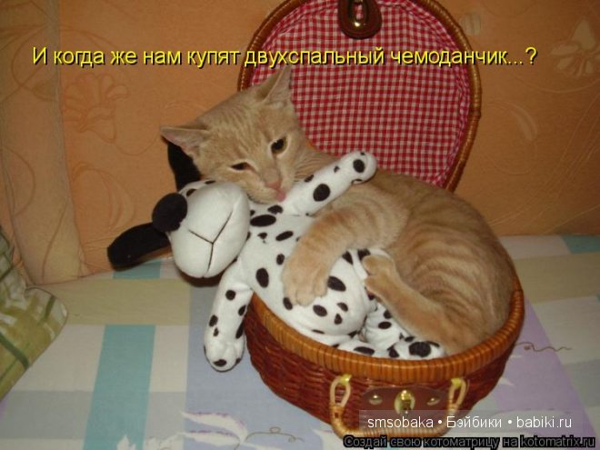Смешинки с участием игрушек