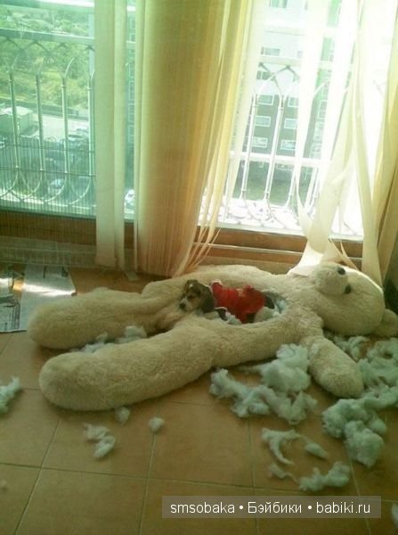 Смешинки с участием игрушек