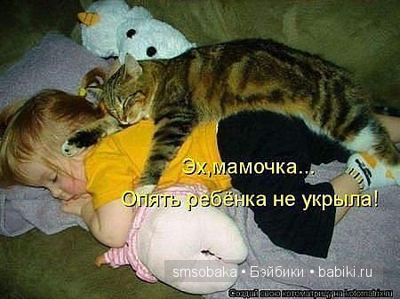 Смешинки с участием игрушек