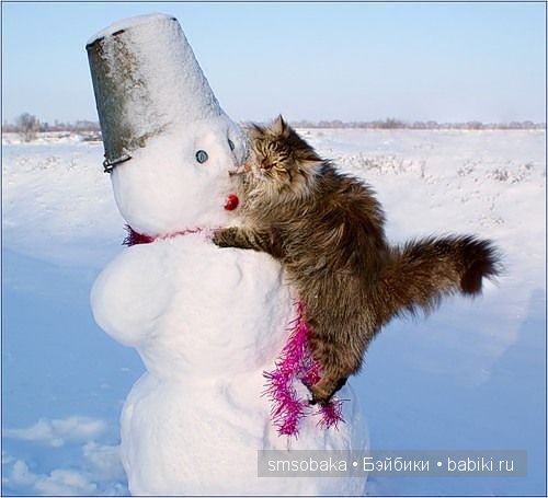 Смешинки с участием игрушек
