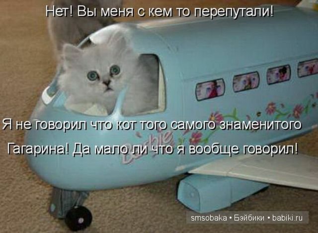 Смешинки с участием игрушек
