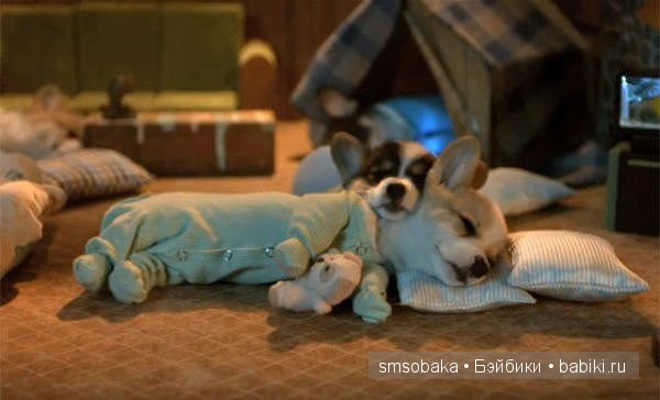 Смешинки с участием игрушек